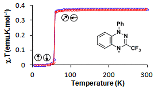 Benzo[e][1,2,4]triazin-4-yl radicals (aka Blatter radicals)