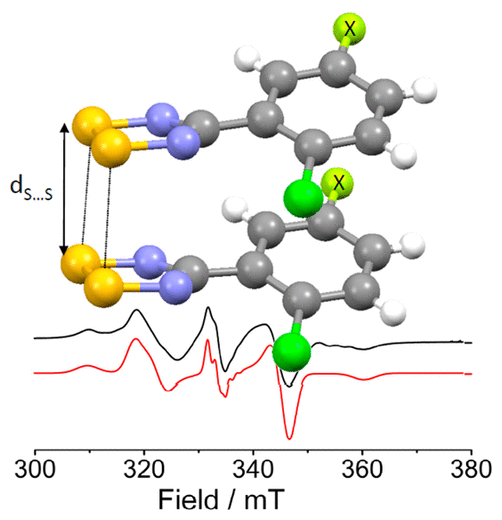 Thiazyl (S,N-rich) radicals